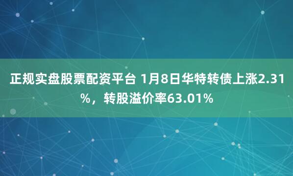 正規實盤股票配資平臺 1月8日華特轉債上漲2.31%，轉股溢價率63.01%