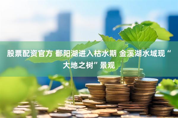 股票配資官方 鄱陽湖進入枯水期 金溪湖水域現“大地之樹”景觀